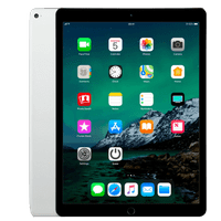 iPad Pro 12.9 1st Generation